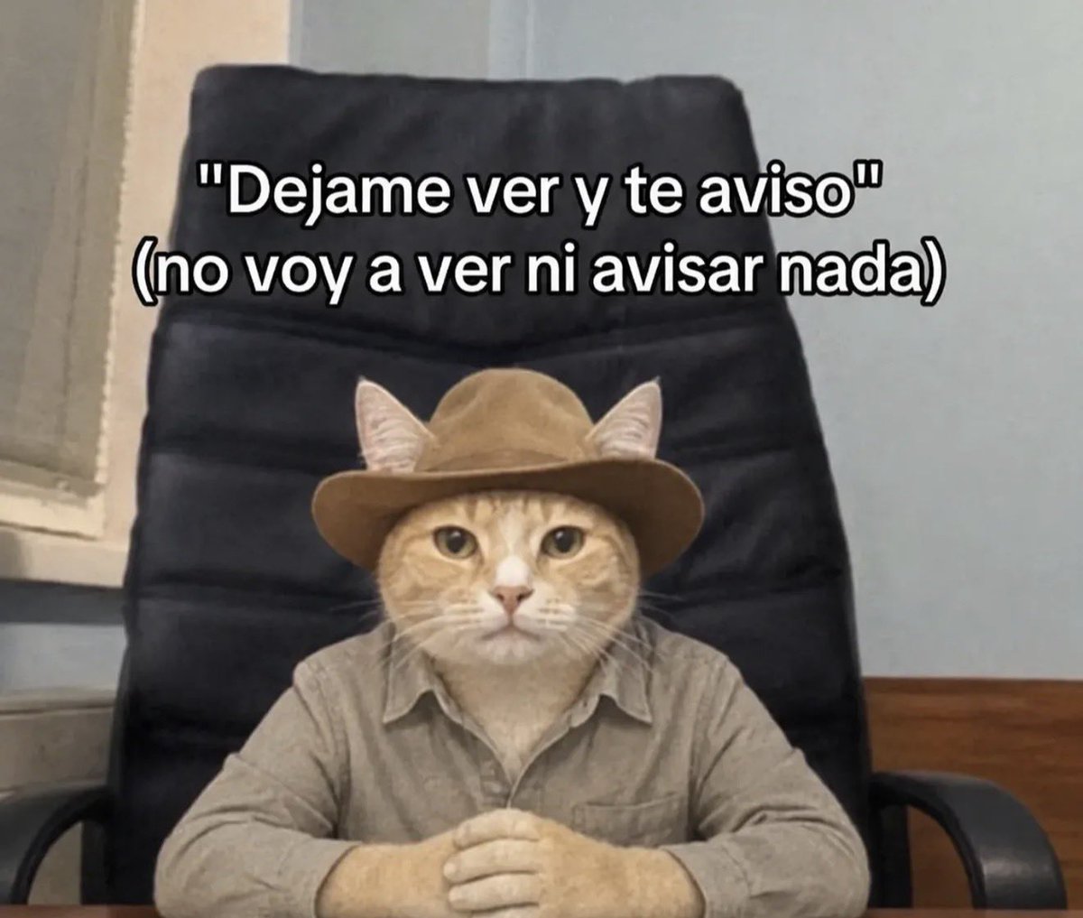 conoloracigarro's tweet photo. https://t.co/406usU017X
