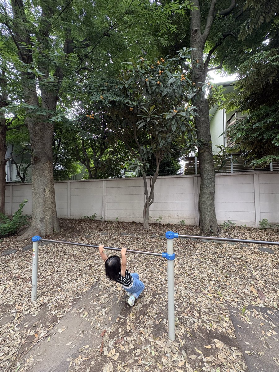 haerisummer's tweet photo. 実家に帰省して毎日毎日公園巡り。
帰京しても保育園の帰りに公園。
まだ夏前なのにもう日焼けしまっくてる娘。
おかげでもれなく母も日焼けしまくってます。 https://t.co/4ueiAYQPvb
