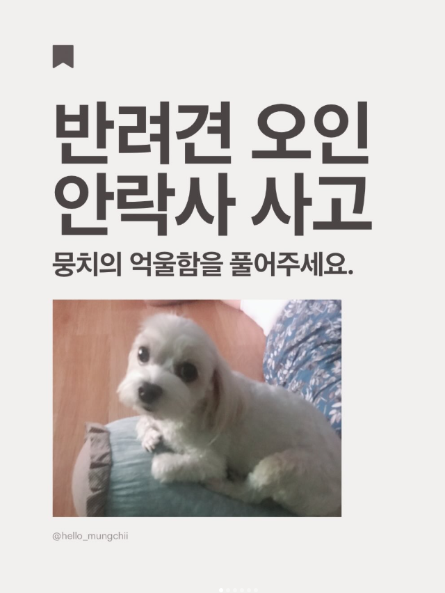 suuunnlin's tweet photo. 동물병원에 염증치료 받으러 갔다가 안락사 당한 강아지 "뭉치"

절대 일어나서는 안되는일인데 요즘 이런 사고가 많아지는 것 같아 너무 안타깝고 화난다,, 
더 많은 사람들이 이번 사고에 관심가져줬으면해.... https://t.co/9ftFsoLRk2