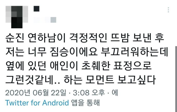 다팔 tweet media