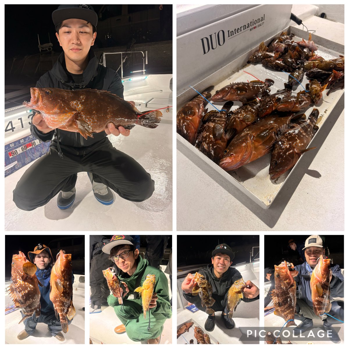 ALLRAID_yn's tweet photo. 皆さん、キジハタはあんまりやったことがない
との事でしたがバッチリ本命キジハタがガツンとヒット！
船中８本、MAX40㎝👏

今日もカサゴは元気！良く釣れました！

少し渋い展開でしたが上手に釣っていただきました！

ご乗船ありがとうございました🙇‍♂️ https://t.co/qwSRJMFkle
