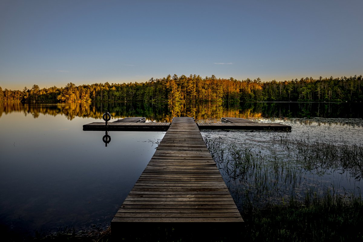 Granite_Stater1 tweet picture