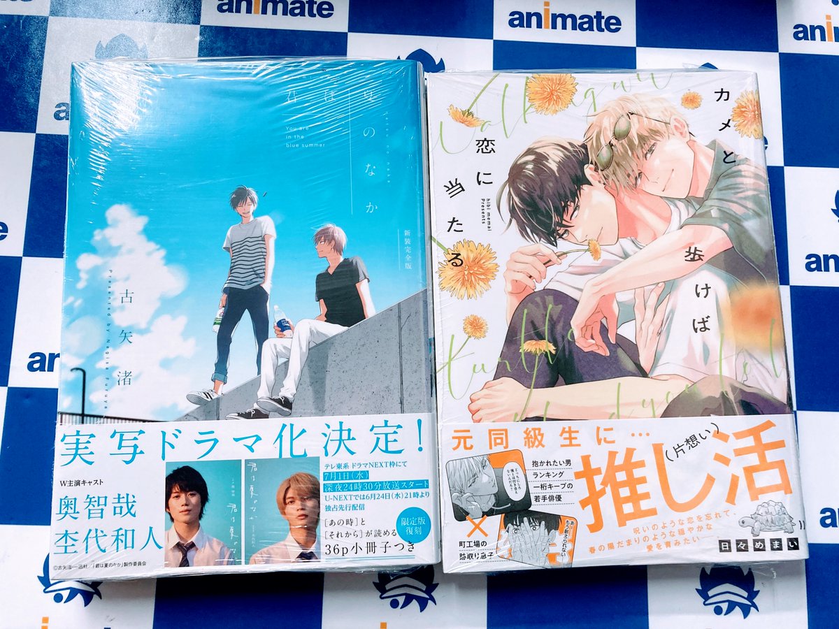 書籍入荷情報】 ・君は夏のなか 新装完全版 ・カメと歩けば恋に当たる