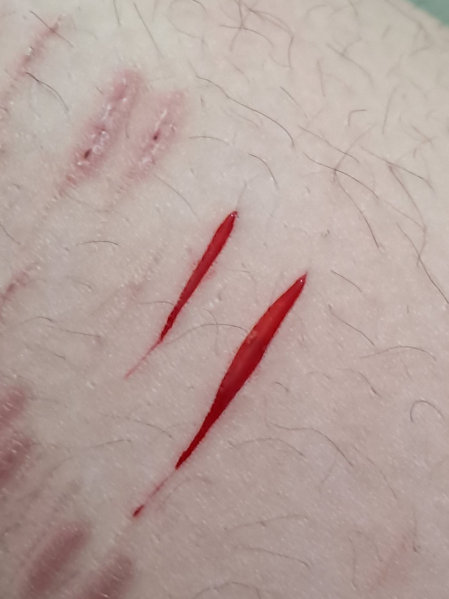 marseyirl's tweet photo. HAD 2 LOG IN AGAIN JUST 2 SHOW THIS STYRO I DID  XDDD ONE SWIPE thank u bye https://t.co/WKxylVJbTH