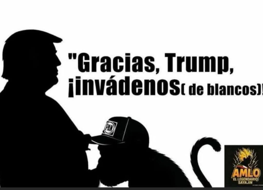 Mictlán🇵🇸 tweet media