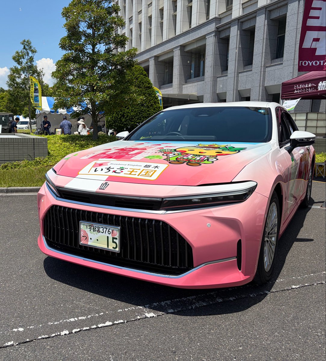 non_pinkdevil's tweet photo. 今日は、#栃木県民の日 ですね🍓

🍓ゼリー食べたーい🤤
県庁前に置いてあった車、個人的に欲しいです🥹（運転出来ませんがw）
栃木県民さん、良い一日をお過ごし下さい🍀( *´꒳`* )
#栃木県 #とちまるくん #とち介 #日光仮面 #ミヤリー https://t.co/ZsquCwUCC0