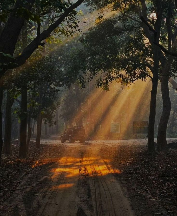 UnlockedAtlas's tweet photo. Dudhwa National Park, Palia Kalan, Uttar Pradesh https://t.co/qWpkcAvuHS