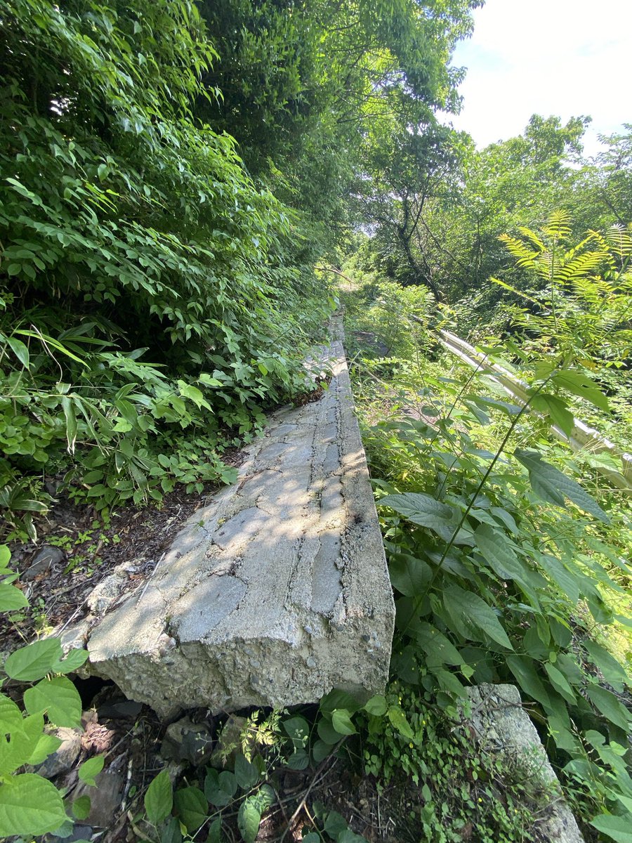 kokoper13's tweet photo. 被害がそのまま残ってる道で七尾市の山、富山湾が一望、壁の塀が総崩れで新しい道ができるとは！ https://t.co/jMUEWQIYl2