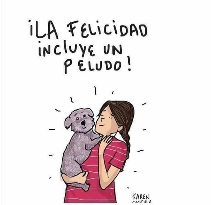 mascotamx's tweet photo. https://t.co/IS1tqPsK8d