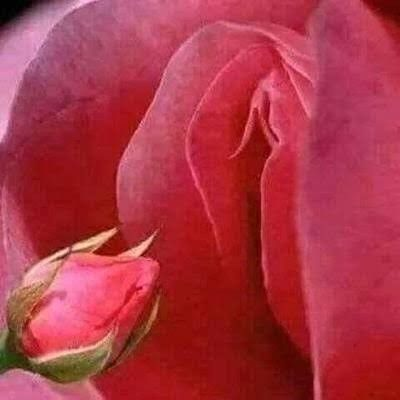 StillDragon2's tweet photo. @abdoasaad12 https://t.co/0prfkuJ7uG