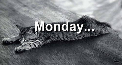 kika_3333's tweet photo. #monday_vibes
Lazy vibes https://t.co/V25M5IP7M3