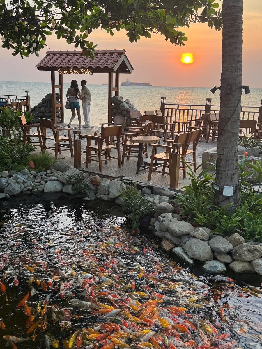 Nguyễn Thị Thoa tweet media