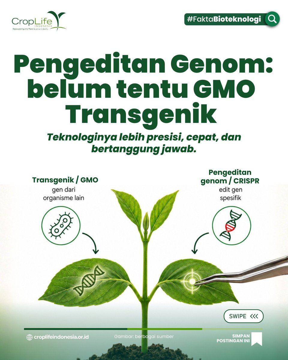 CropLifeIndo's tweet photo. PENGEDITAN GENOM BELUM TENTU GMO TRANSGENIK! #SahabatCropLife

#Bioteknologi #GenomeEditing #CRISPR #RekayasaGenetika #PertanianModern #KetahananPangan #FoodSecurity #AgricultureInnovation #ScienceCommunication https://t.co/cR5GUIR2SZ