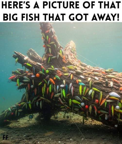 buddydawg77's tweet photo. It was huge!!! 🤣🤣🤣🤣🤣 https://t.co/lpHrqLeSjH