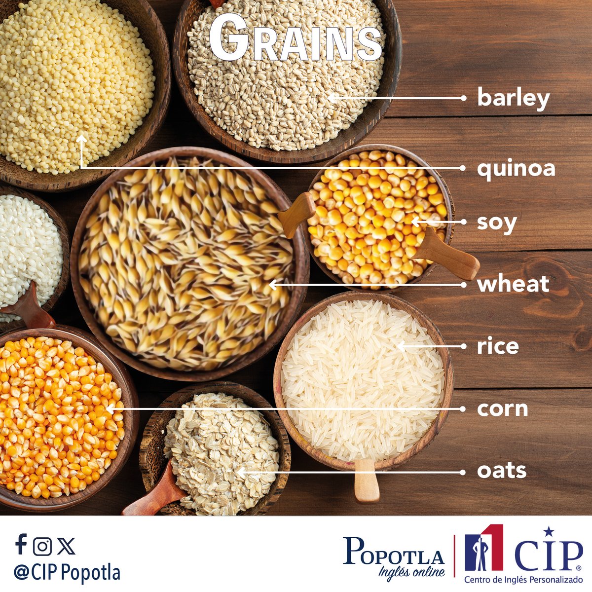 CIP_Popotla's tweet photo. ¡Lleva tu vocabulario en inglés a Nivel Avanzado! 😀 Te compartimos el nombre de los 🍚 granos comestibles más populares. https://t.co/qgpOs1Q3w3