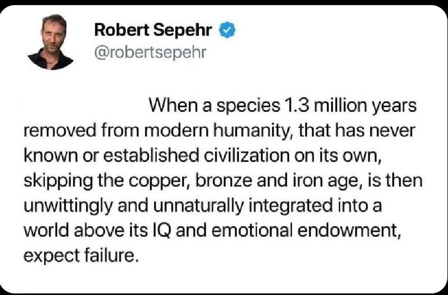 Robert Sepehr tweet media