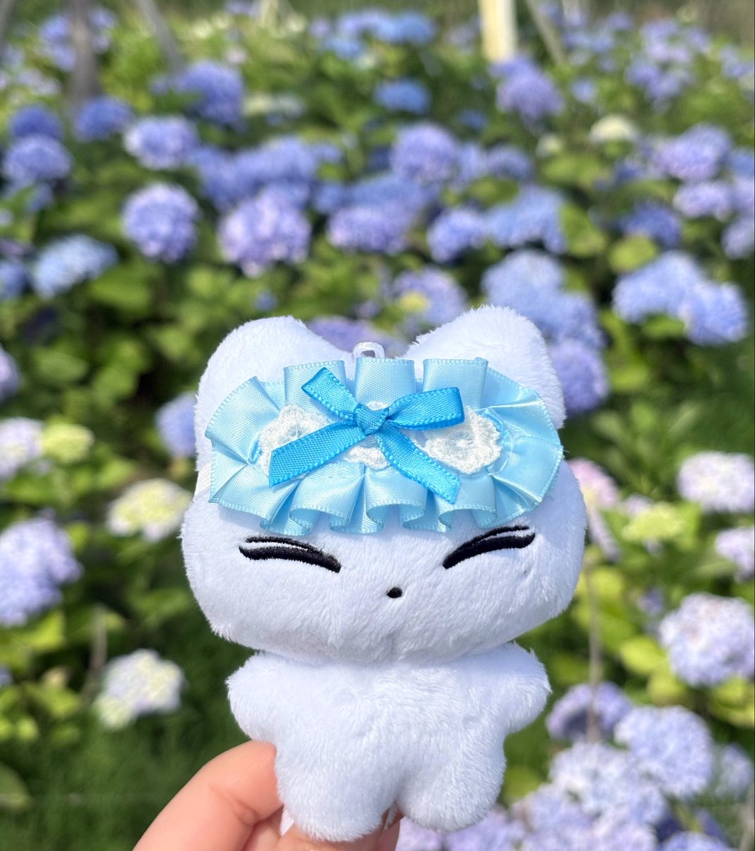 OnniOO9's tweet photo. 캣떠니🩵💙 https://t.co/MHSSJTRB7D