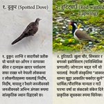 Photo by Dadhiram Nepal (@dadyuncleOops)
