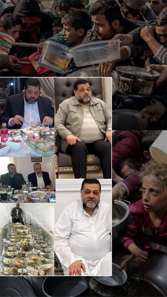 Baraa Sultan tweet media