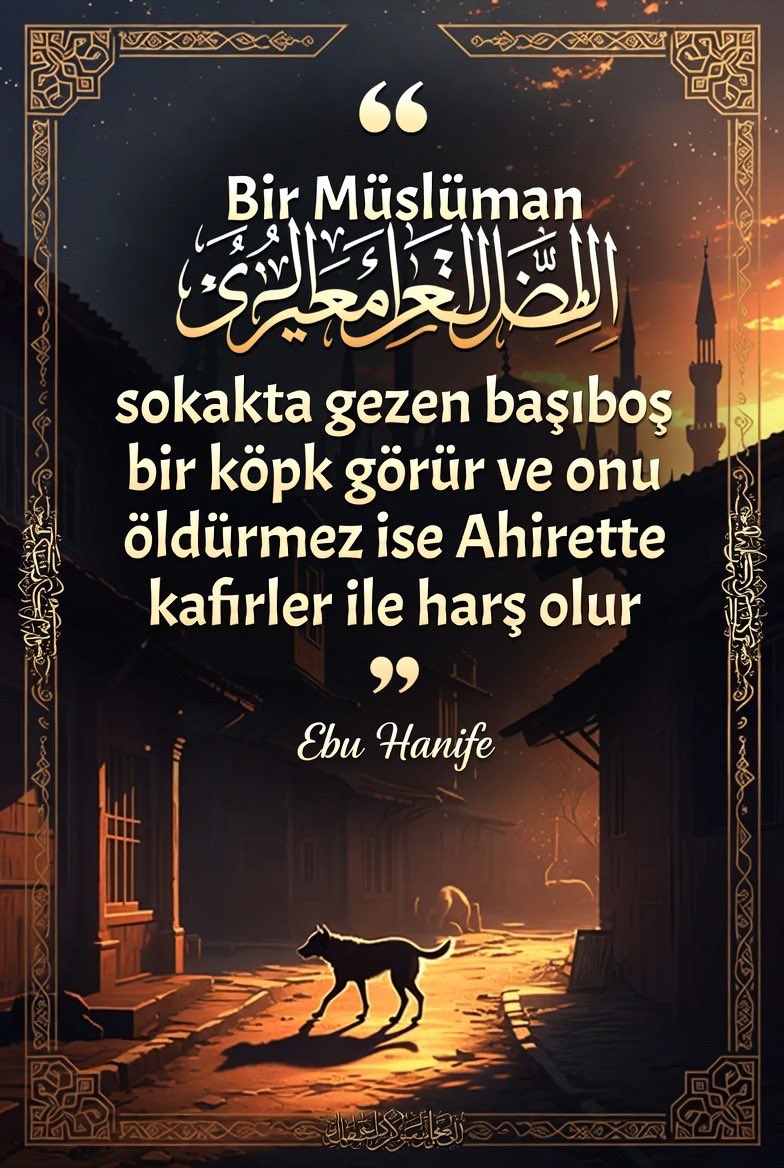Sünni-Türk tweet media