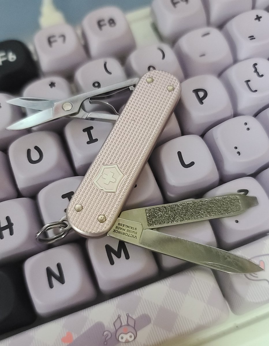 MeuN1el's tweet photo. @meltymim Excuse me from not irrelevant ever but as who nails cutters with scissors I want to you know this small and cute Victorinox tool super fit cutting nails i had a more cute limited addition you likeable but i gave it my mom but regular version still cute 😭 https://t.co/j5CrSixxpT