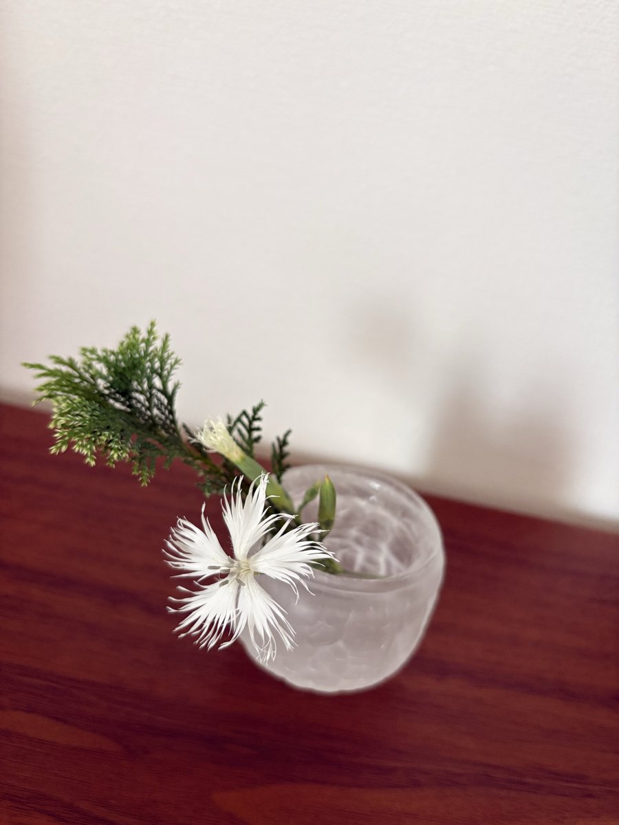 hyojo_lesson's tweet photo. 河原撫子。 https://t.co/BBM4RCqJo8