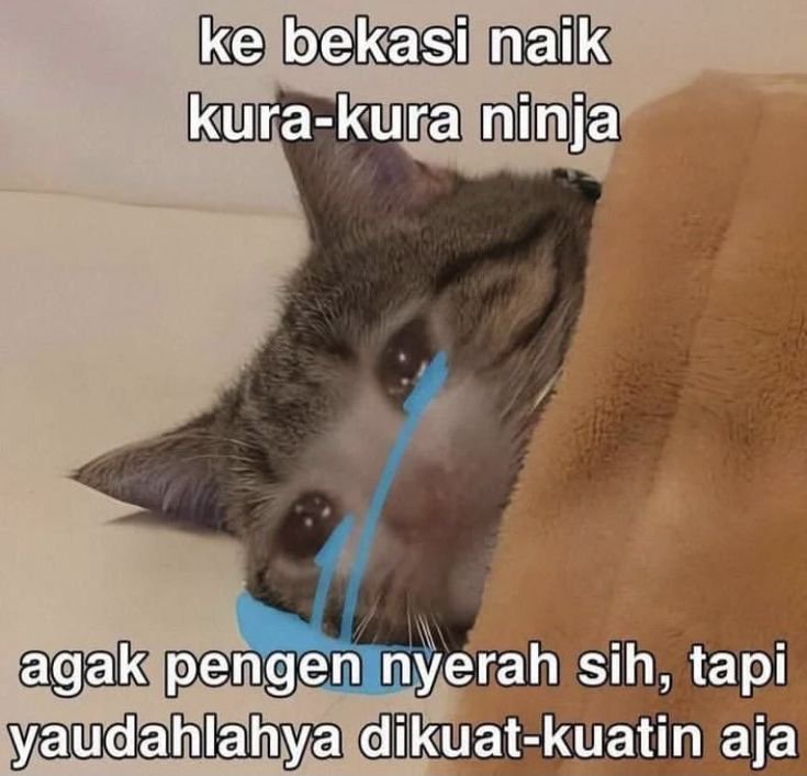 𝕻𝖚𝖙♡ tweet media