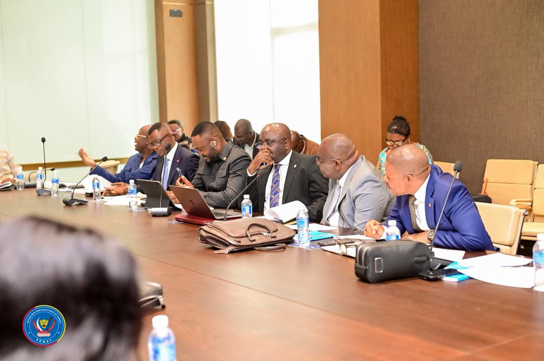 RDC_NewsFlash's tweet photo. #FLASH_POLITIQUE | Référendum en RDC : la commission PAJ du Sénat adopte le rapport à l’unanimité
Après deux jours de travaux, la commission Politique, administrative et juridique (PAJ) du Sénat a adopté ce dimanche 14 juin le rapport sur la proposition de loi fixant les conditions d’organisation du référendum en RDC.
Selon le sénateur Jules Lodi, président de la PAJ, le texte sera transmis au Président du Sénat Jean-Michel Sama Lukonde avant d’être présenté en plénière ce lundi.
#Référendum #Sénat