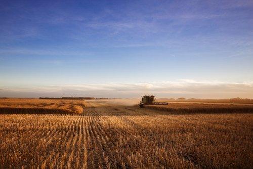 CassadyWealth's tweet photo. The province is a commodities powerhouse, exporting high-demand products to the world’s fastest growing economies. https://t.co/y9v1VJu2HY https://t.co/JHQgfDV239