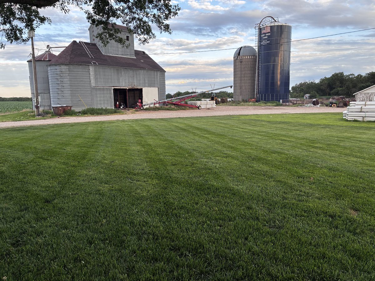kaunard's tweet photo. @DDFalpha I hear ya!   Fertilizer, water, then it never fails this happens :) https://t.co/1tNDAL2MTv