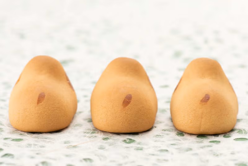 okamoto_self's tweet photo. 「第7回 超うまいもん祭り」の賞品より、かわいい犬の形の焼き菓子『ぼくポチシリーズ8個入 六角箱』をピックアップ！
お顔はもちろん後ろ姿もかわいいのです✨
定番の「ぼくポチ」「おらくろ」のほか、夏限定の「わたしハニーレモン」も一緒です🐶
#超うまいもん祭り は 6/30まで
#オカモトセルフ https://t.co/7zbRz8QnaT