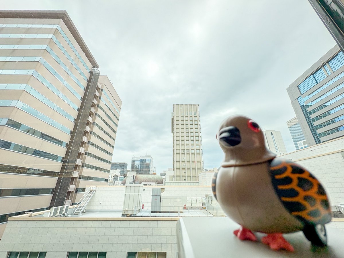 SORAD_Kobe's tweet photo. おはソラド！
今日の神戸市は曇り☁️

今日はPDFの日📄
毎日何枚かはPDFファイルを作ってます👩‍💻
何枚か程度じゃヘビーユーザーとは言わないんでしょうけど、大変お世話になりありがとうございます😊

それでは今日も張り切っていきましょう！
#企業公式が毎朝地元の天気を言い合う https://t.co/Xdsikkwc4G