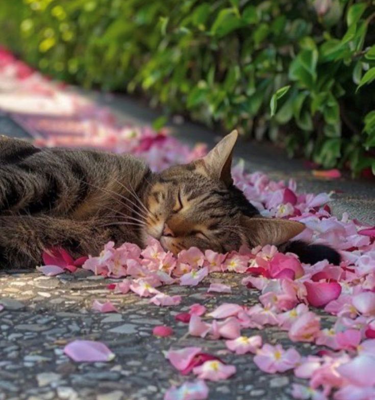 Flowers Life tweet media