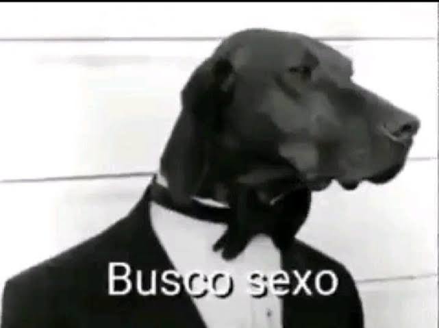 pau psicólogo tweet media