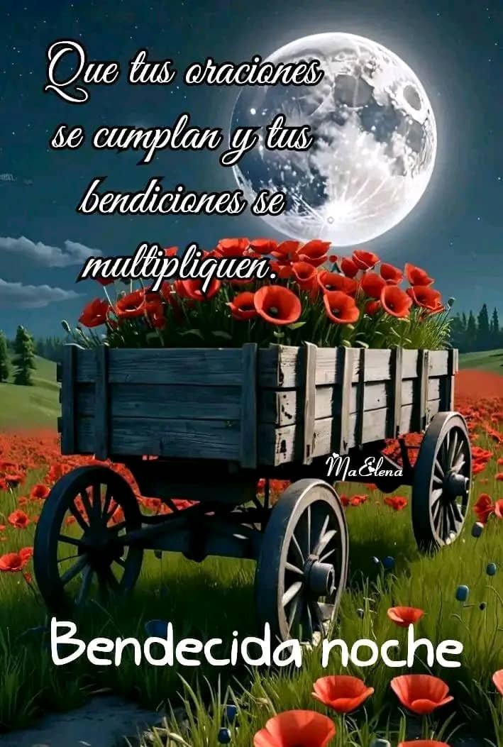 SAMIRELITHJIMEN's tweet photo. https://t.co/yOhbuvLl6L