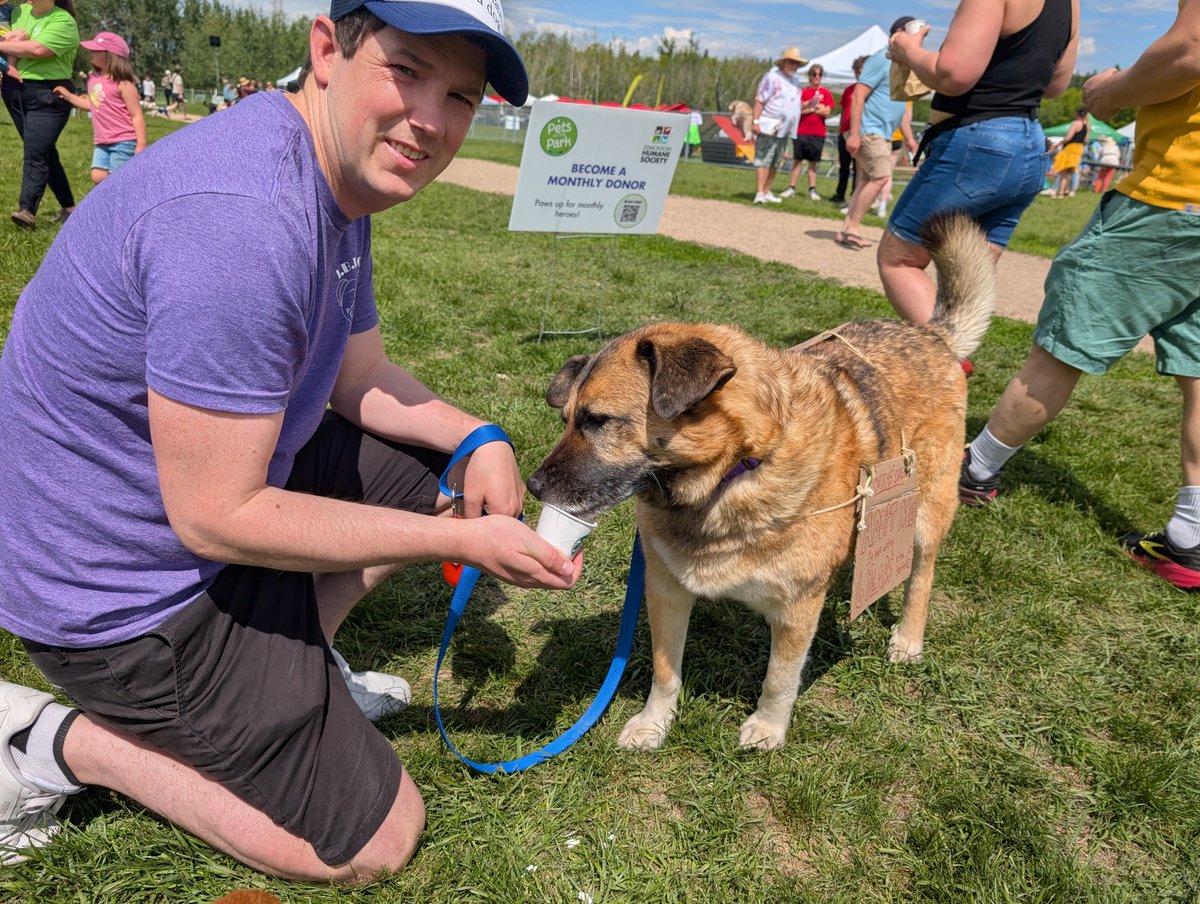 SarahRyanYEG's tweet photo. I couldn't be more proud of Buddy. He did SO AMAZING at Pets in the Park. If you snapped a photo of him, I'd love to see it! He needs a home, could it be yours? @SCARS_Alberta #yeg #rescuedogs #yegdogs https://t.co/ykzKuspQDN