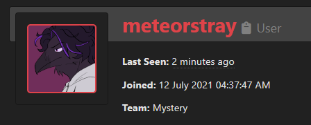 STRAY 🐦⬛ @ MYSTERY tweet media