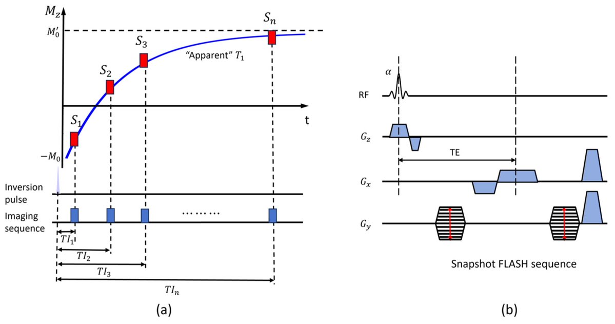 Magnetochem's tweet photo. 📖🖍️Check out the #Article📢
"Three-Dimensional Look-Locker Method for Free-Breathing T1 #Mapping of Oxygen-Enhanced Pulmonary #Magnetic Resonance Imaging"
by Chengbo Wang et al.
Access the full paper here👉
https://t.co/FFIYGkTNTs https://t.co/q4Y29rRzSt