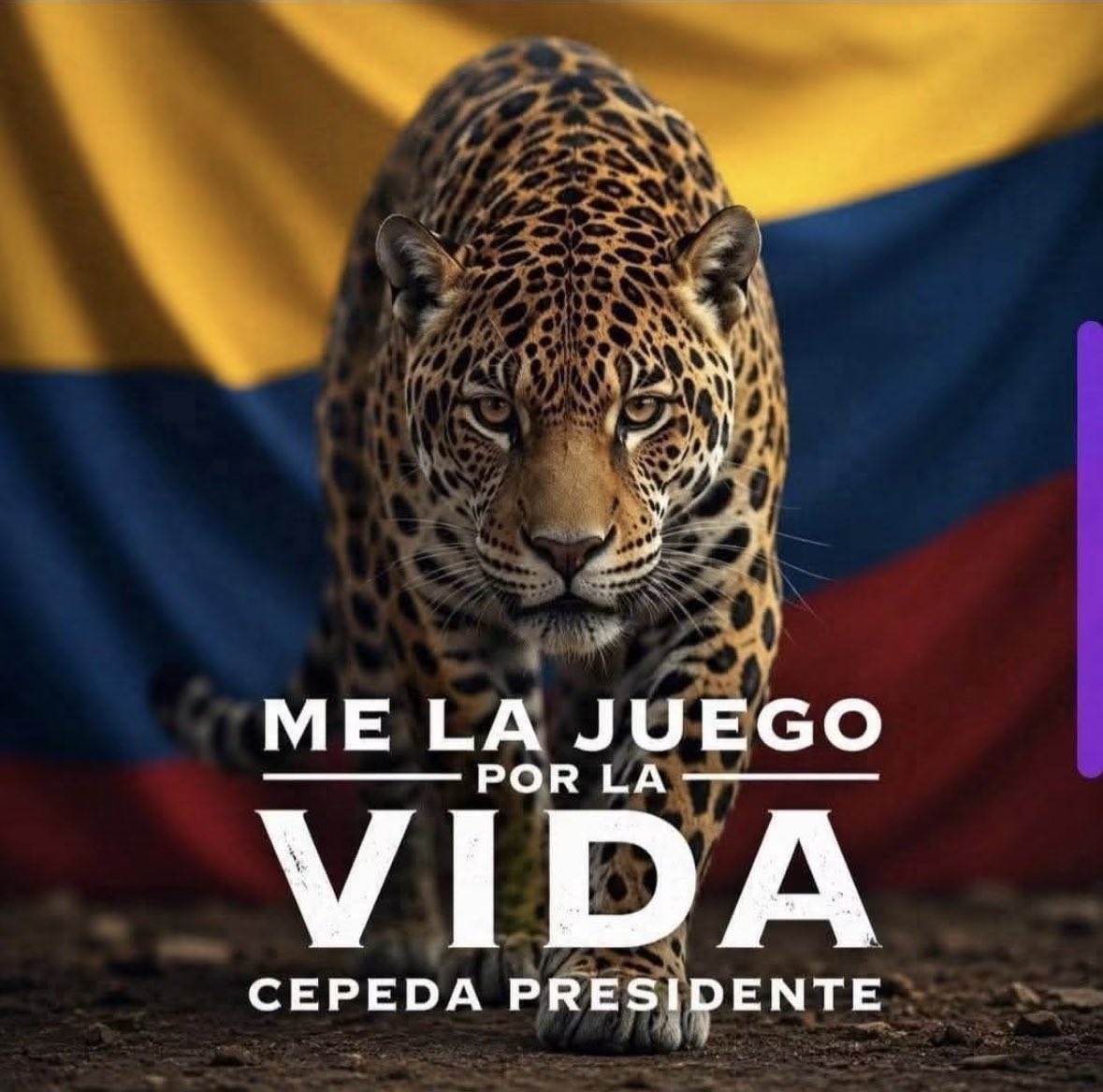 LILIANABADILLO4's tweet photo. https://t.co/0zk899uwQa