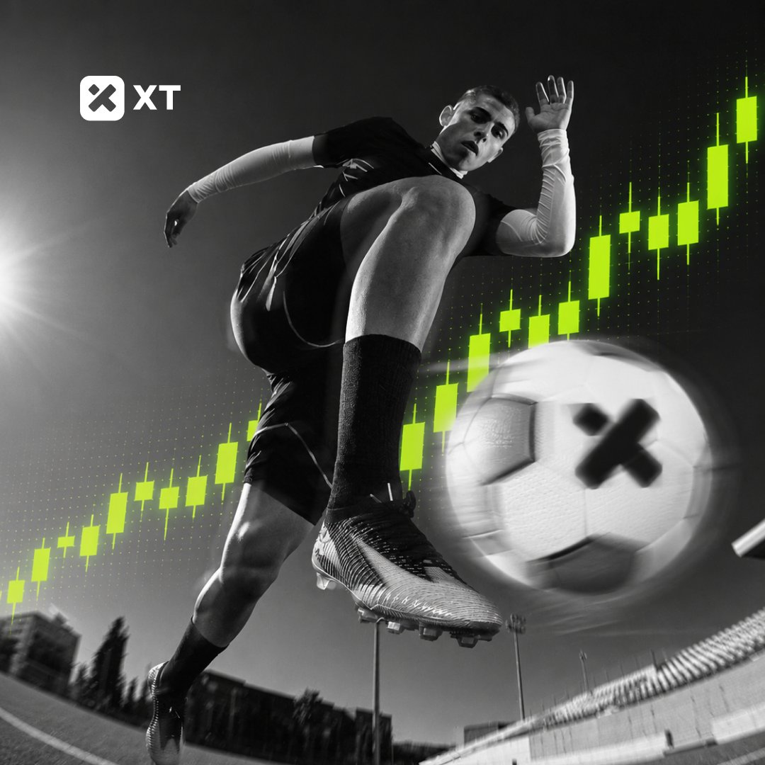 XT Exchange 🚀 tweet media