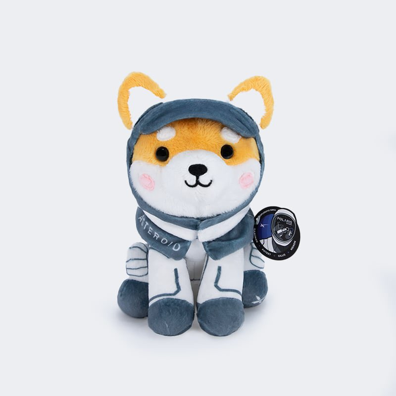 MascotAsteroid's tweet photo. What a soft launch of your new mascot @elonmusk! https://t.co/0VC0D49ABK