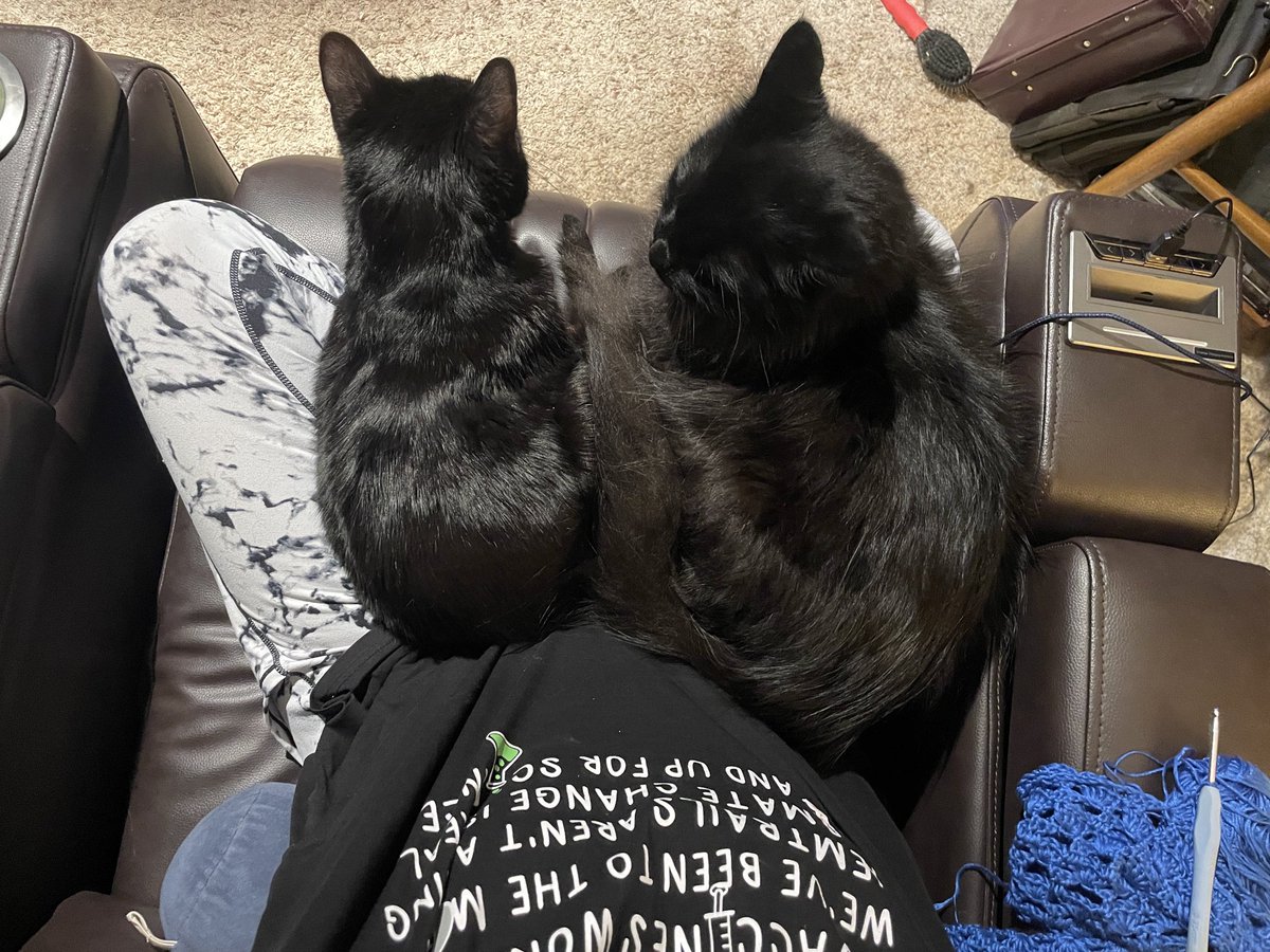 MomKat66's tweet photo. @Kristinartz Princess Doink Vander Schnebly (“Doink”), Slurp, Count Booregard Von Pike (“Boo”), Poof, and  Die Fledermaus (aka Maus). https://t.co/FUmOVlSSsI
