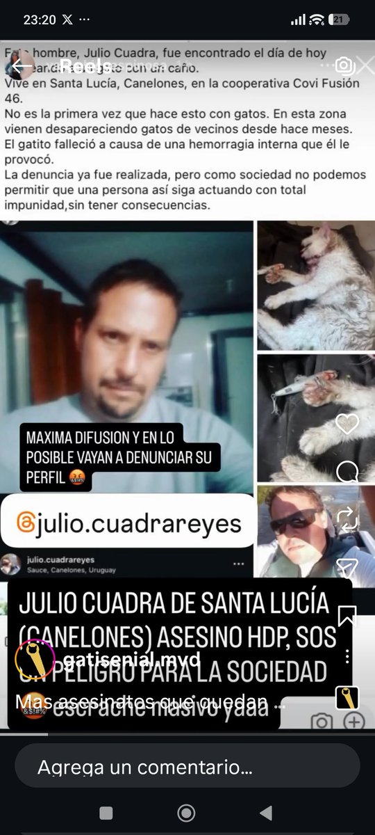 50_montevideana's tweet photo. Este SORETE , caza gatos con señuelos de pesca y luego los golpea hasta la muerte. https://t.co/Twf3weDW6z