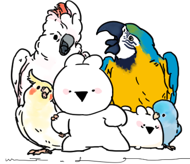 gonnohjoye's tweet photo. 🐰🐦🐦🐰 https://t.co/o4AjxiTToK