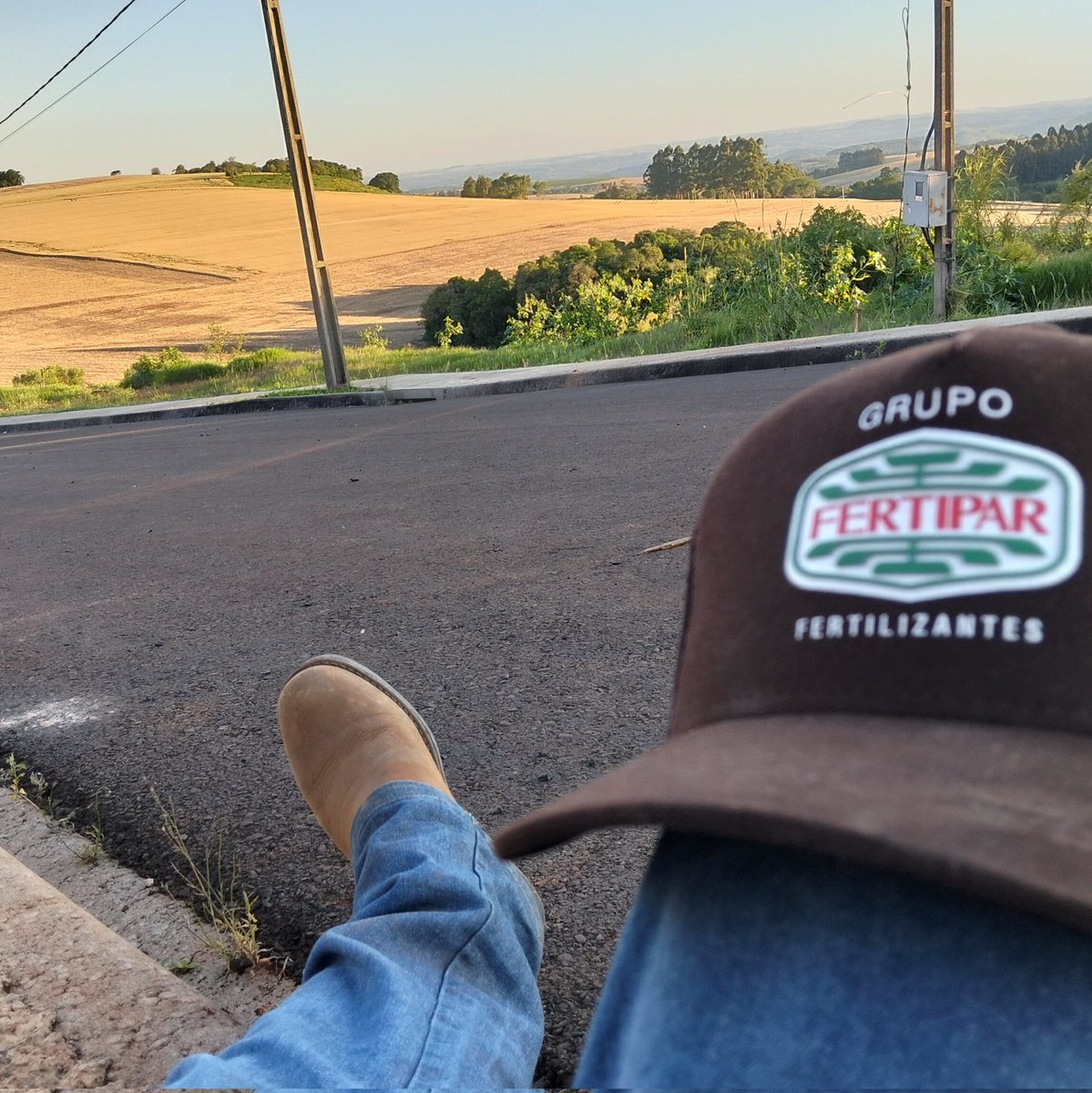 AGRO.BRUTO8 tweet media