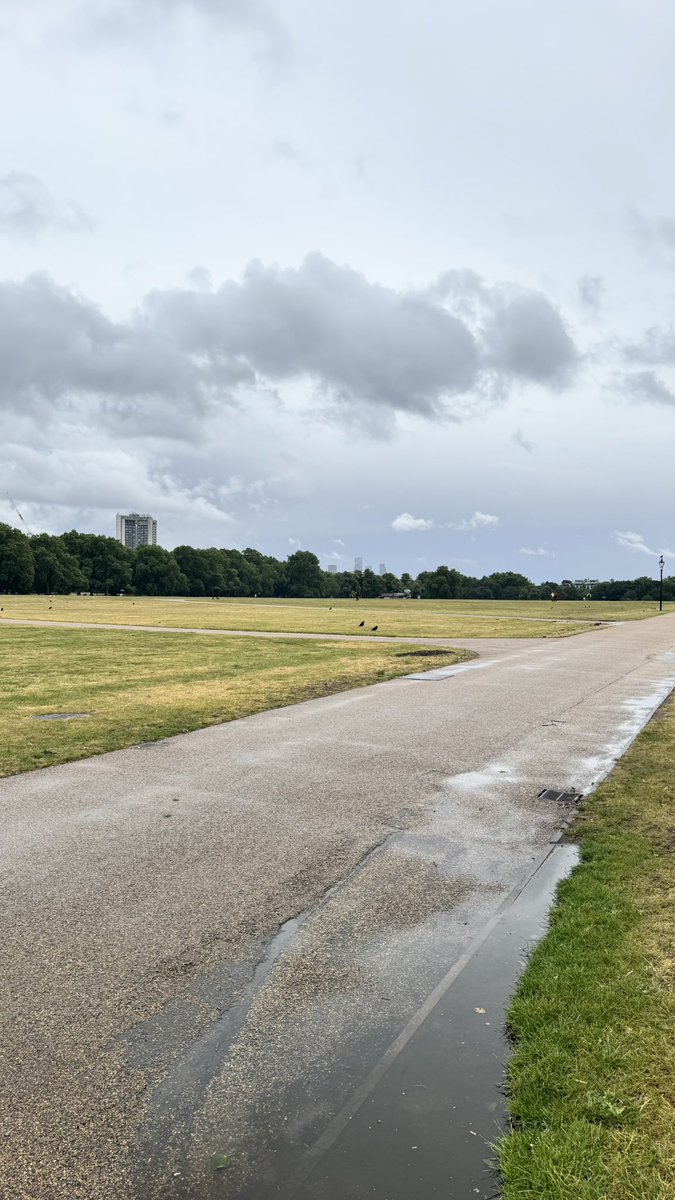 meshthe7's tweet photo. Hyde park… https://t.co/odo7MOtI8x