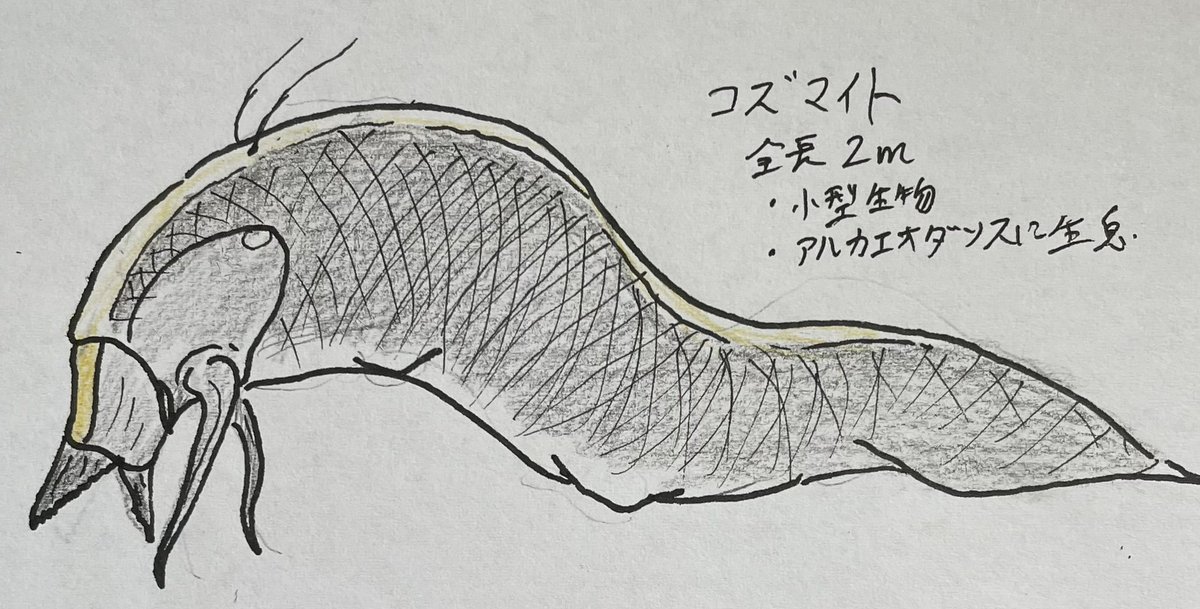 vargatorix's tweet photo. Age of the Ring
コズマイト
南半球で確認された生物　頑丈な＂鱗"を纏っており同じサイズの生物でコレを貫ける種はいない　大型の生物に捕食されても鱗は吐き出されやすい
口の近くから生えた＂触角"を泥や水に刺して獲物の存在を感知する https://t.co/fPmwgpfTzU