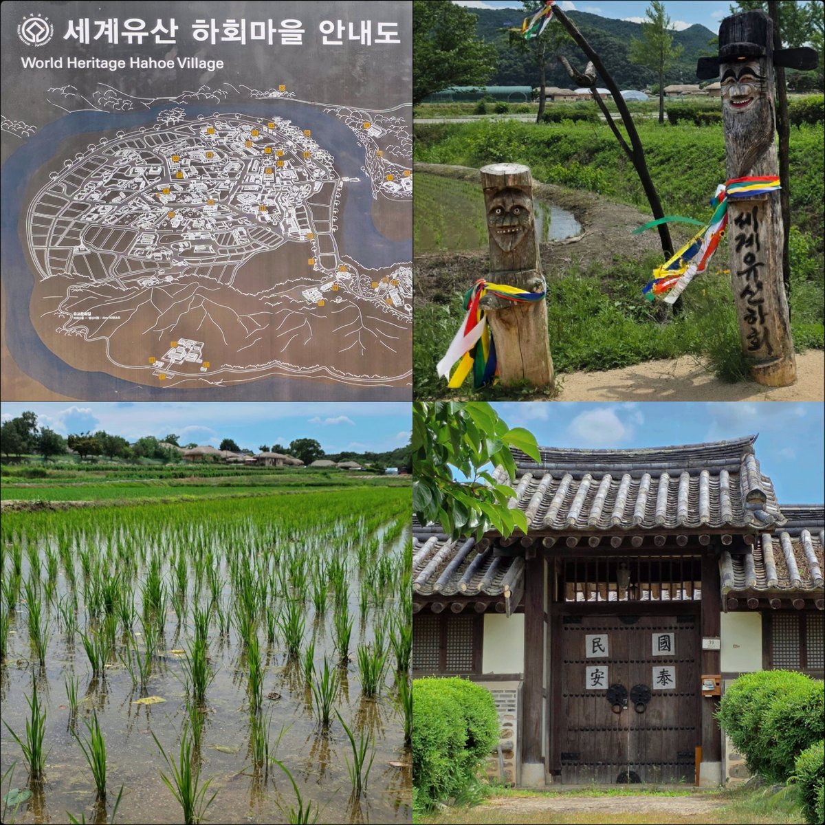 k_pawlowska's tweet photo. #GoodMorning & #Afternoon & #Evening - enjoy your time of day ๐
#8_ #KoreanAdventure
#HahoeVillage / #Andong
Surrounded by the Nakdonggang River, #Hahoe is one of the most famous folk villages in #Korea. It became even more famous after Queen Elizabeth of England visited & celebrated Her Birthday - on April 21, 1999.
And #SongOfTheDay is: https://t.co/JAVeypNyyX
#GirlsTrip2026 #EnjoyLife #Travel