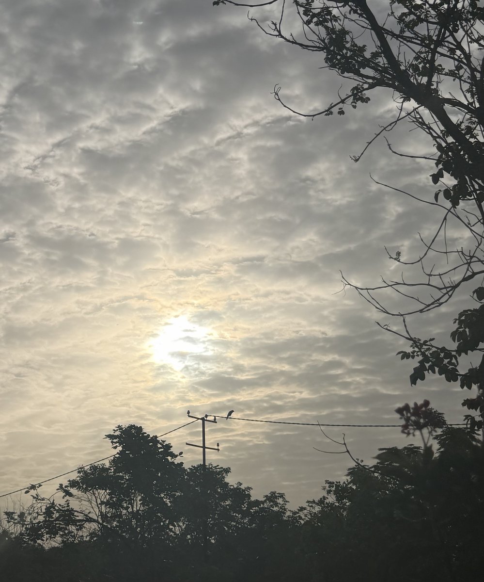 artizzzz's tweet photo. The sky was undecided . The light showed up anyway .
#MorningsLikeThese
#ChasingLight https://t.co/fuQew8eYOZ