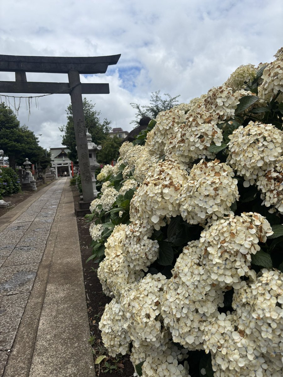 midochpper0909's tweet photo. https://t.co/8tYnq29H6B